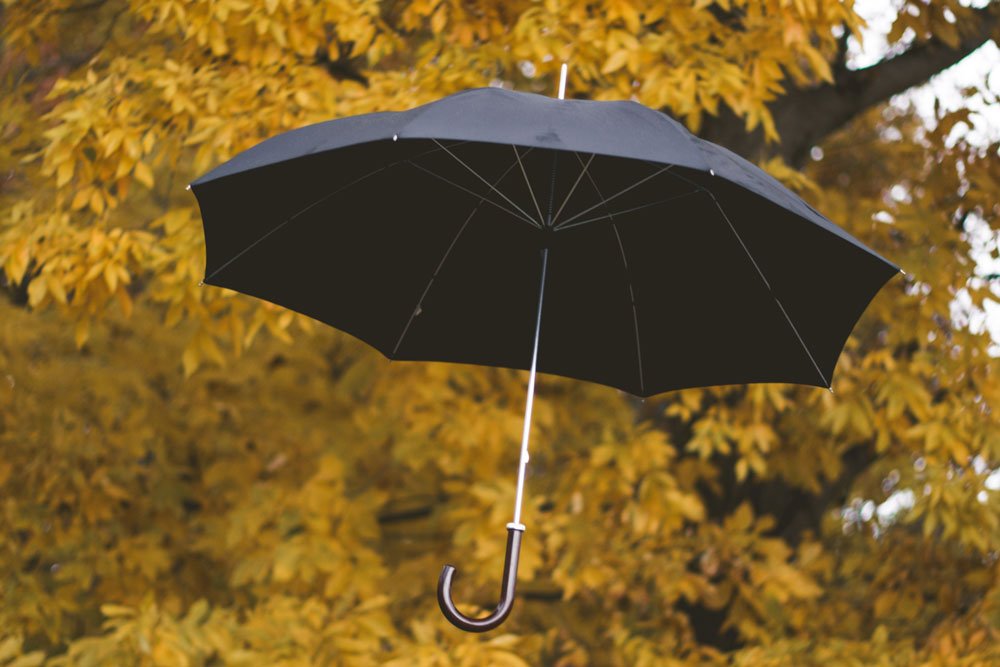 black umbrella in front of tree