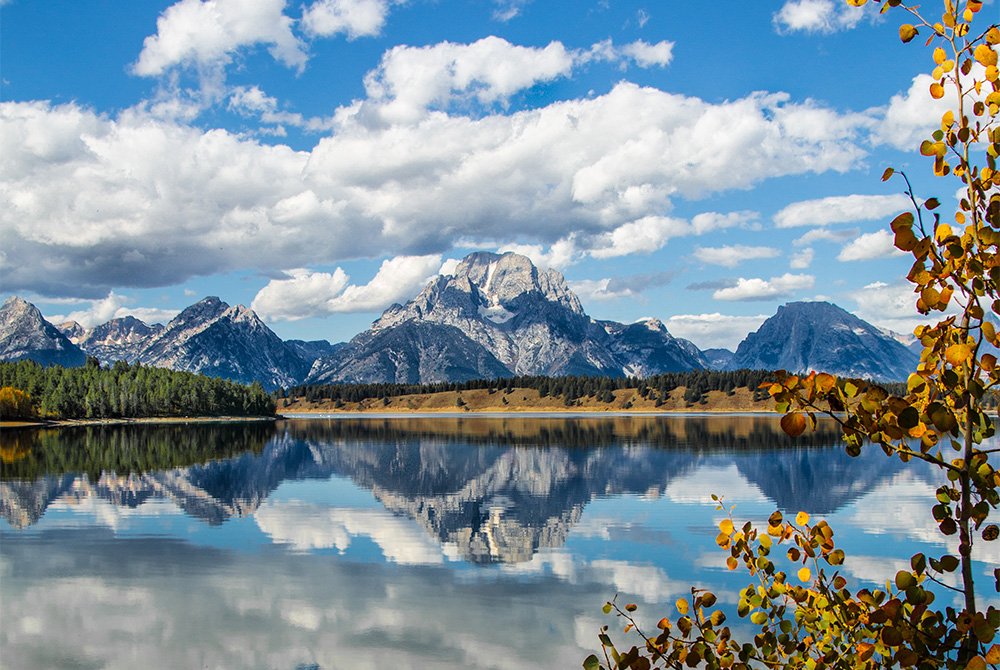 The Ultimate Guide To Visiting Jackson Hole