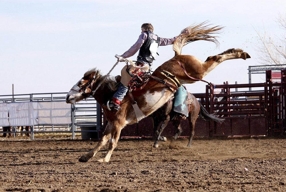 man riding bucking horse