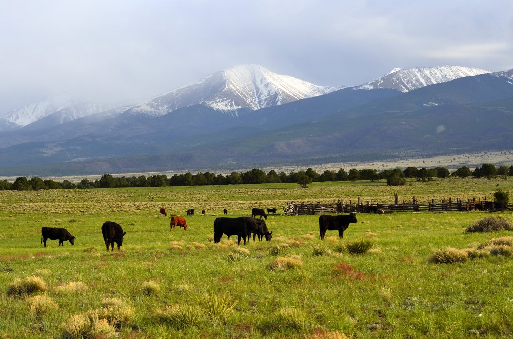 On the Road to Westcliffe