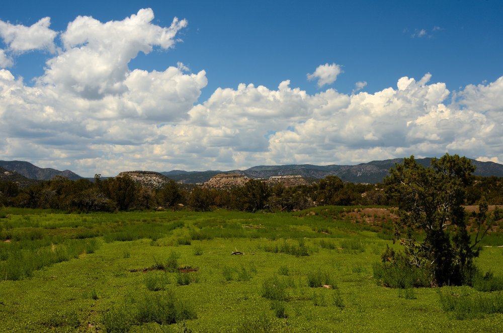 Oil Well Flats, Cañon city, CO