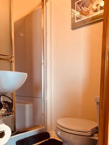 Water closet and book shelf