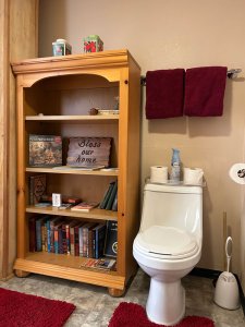 Water closet and book shelf