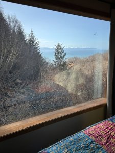 Downstairs bedroom view
