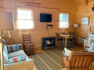 View of living room and fireplace