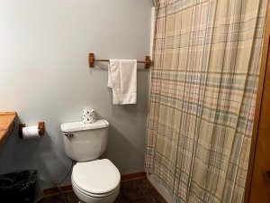 View of bathroom
