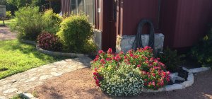 Flowerbeds outside the front door