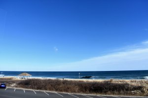 A view of the beach
