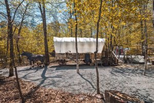 Covered Wagon and Draft Horses