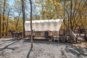 Draft Horses And Wagon Front