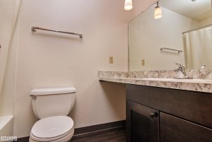 toilet and bathroom sink