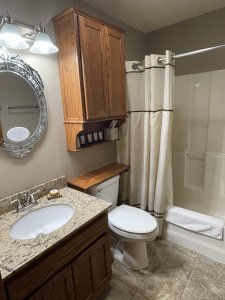Sink, toilet, and shower in bathroom