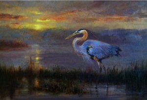 great blue heron at sunset