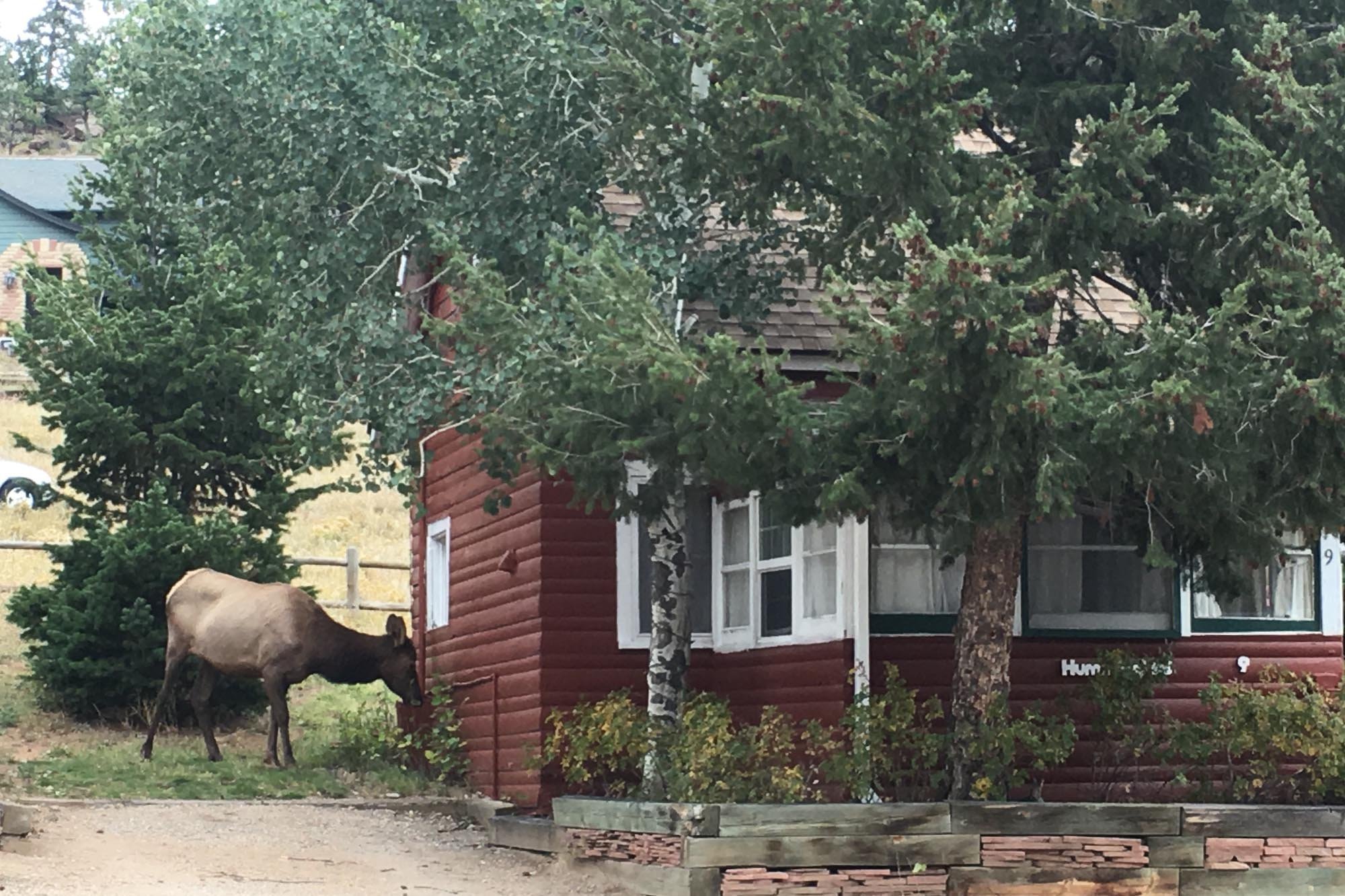 Colorado Cottages Vacation Cabin Rentals In Estes Park Colorado