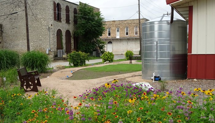 Texas Natives Garden