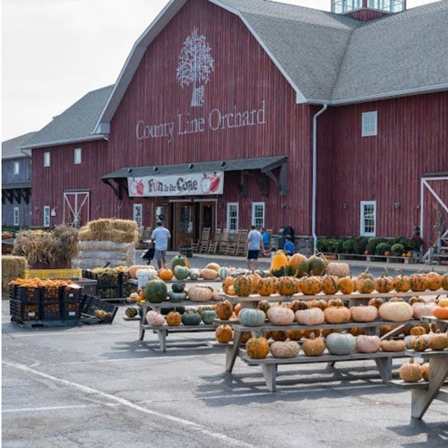 Country Line Orchard Barn