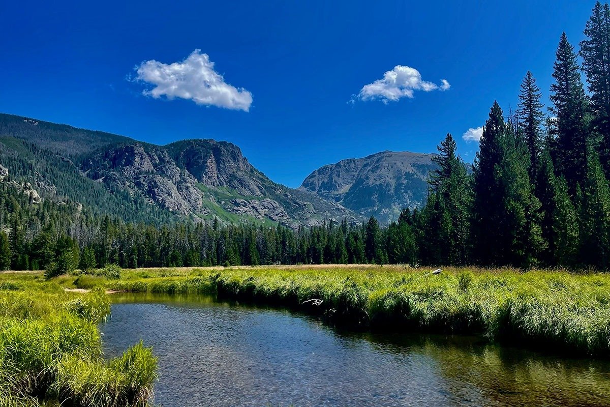 A serene landscape featuring a clear stream winding through lush green grass and tall evergreen trees, with majestic mountains and a bright blue sky dotted with a few fluffy clouds in the background.