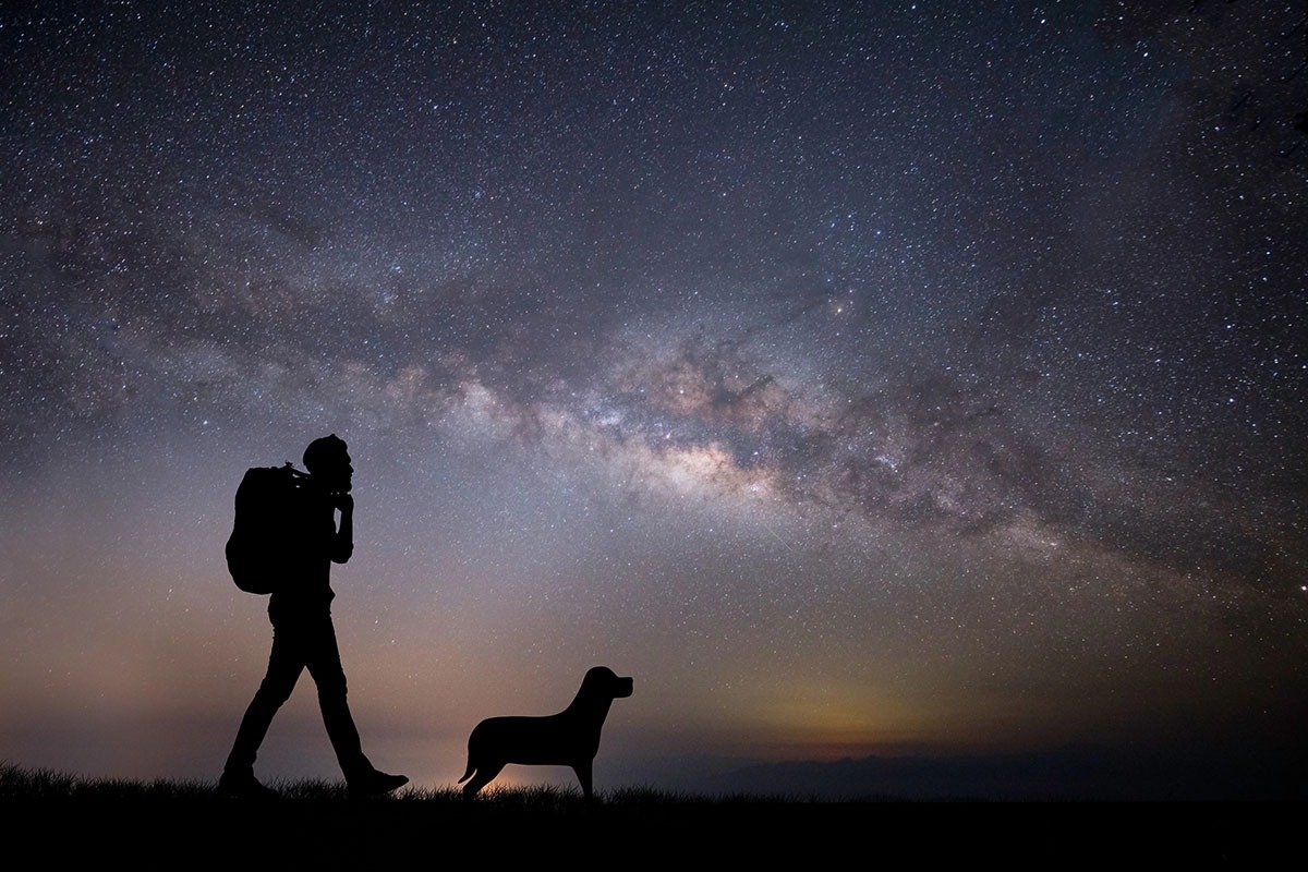 A silhouette of a person with a backpack and a dog standing on a grassy hill, gazing at a starry night sky filled with the Milky Way.