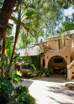 Peacock Patio