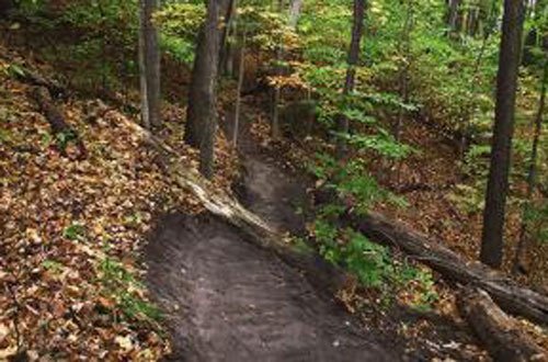 Great Outdoors