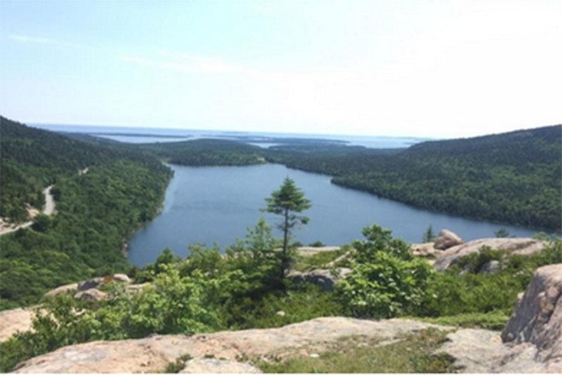 Rocky and green hill overlooking acadia bay