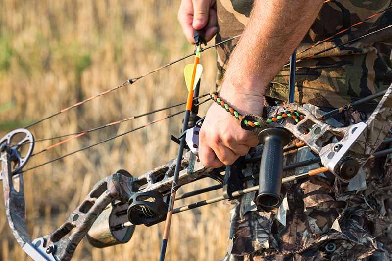 Compound bow with knocked arrow