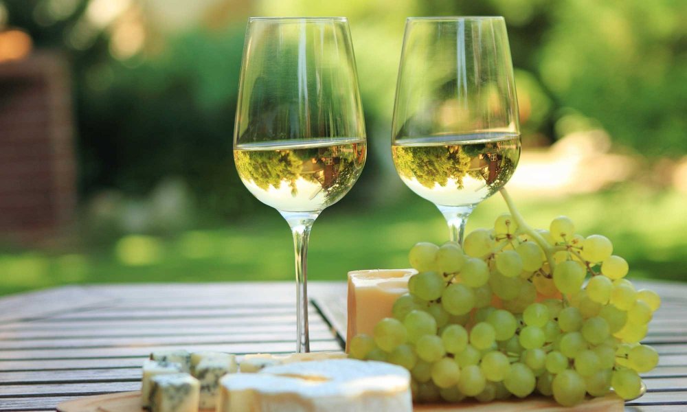 wine glasses with cheese and grapes near vineyard